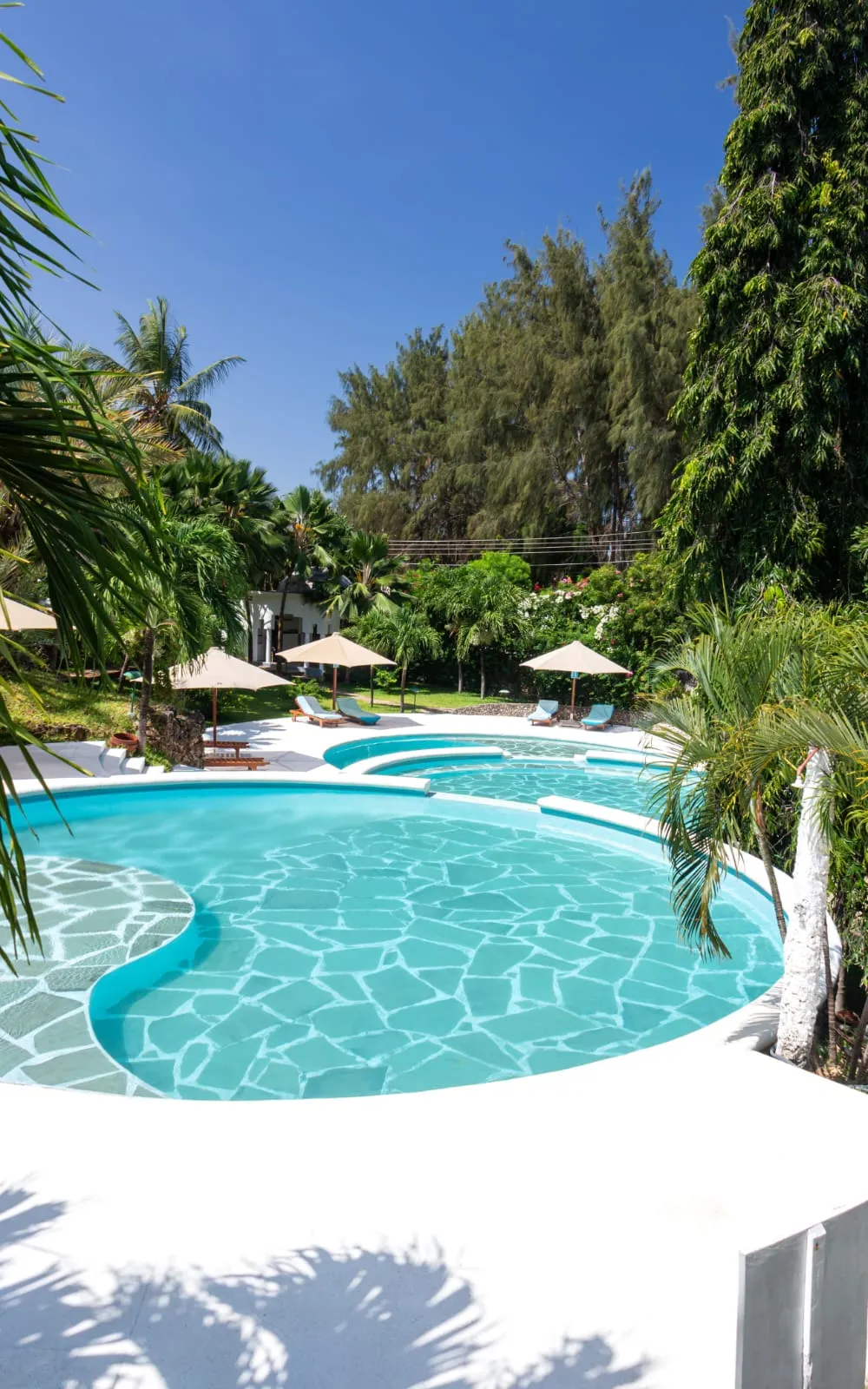 Curved swimming pool with loungers at a Malindi and Watamu accommodation property