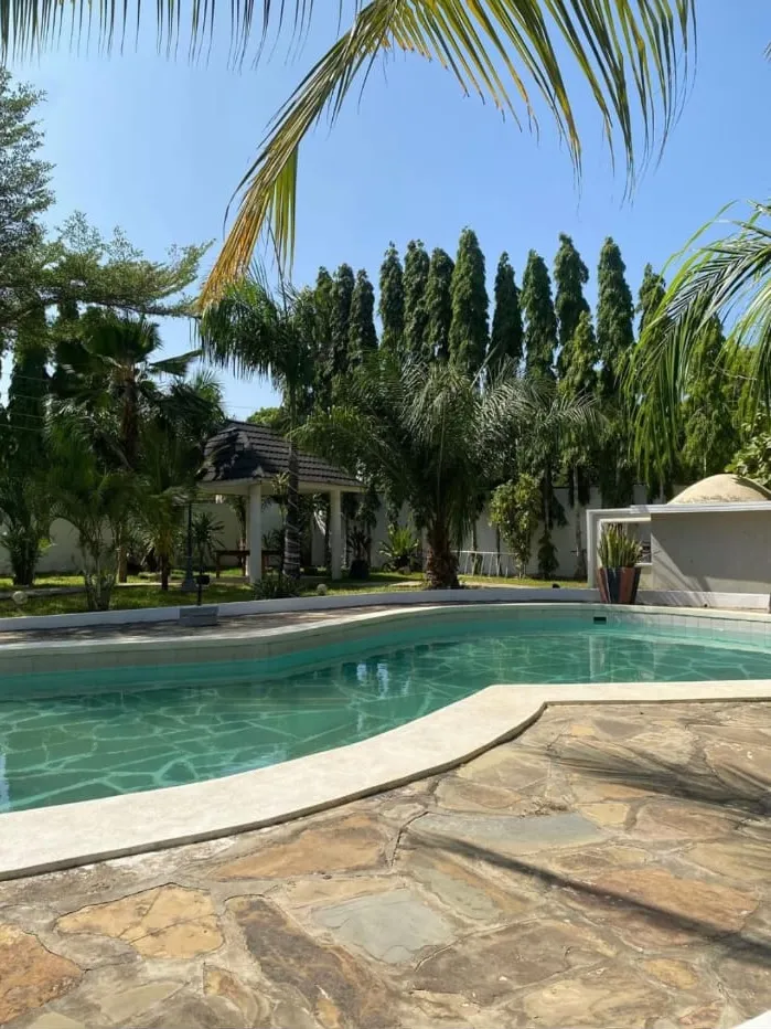 Palm courtyard beside the pool at a Malindi and Watamu accommodation property