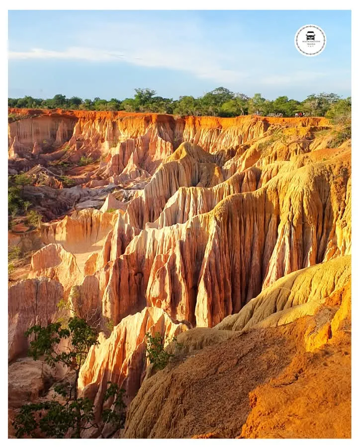 Golden canyon walls at Marafa Hell's Kitchen on a Mombasa tours day trip