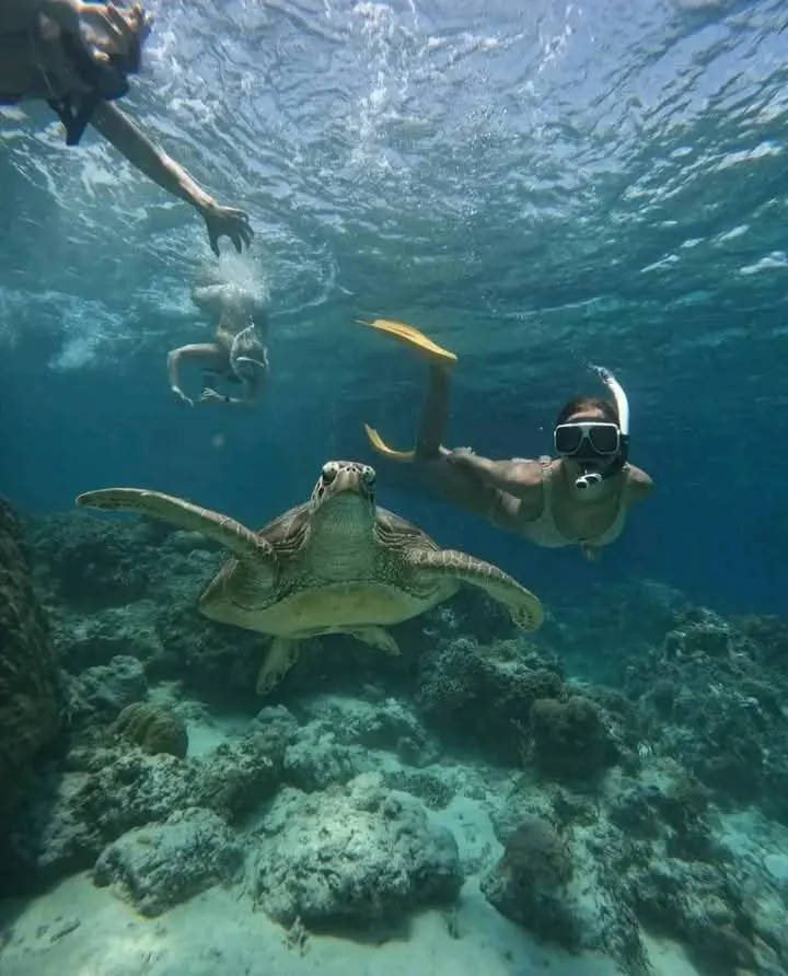 Snorkelers exploring clear water and marine life on a Mombasa tours ocean excursion